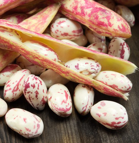 Fagioli Borlotti: 100% Italiani, filiera controllata