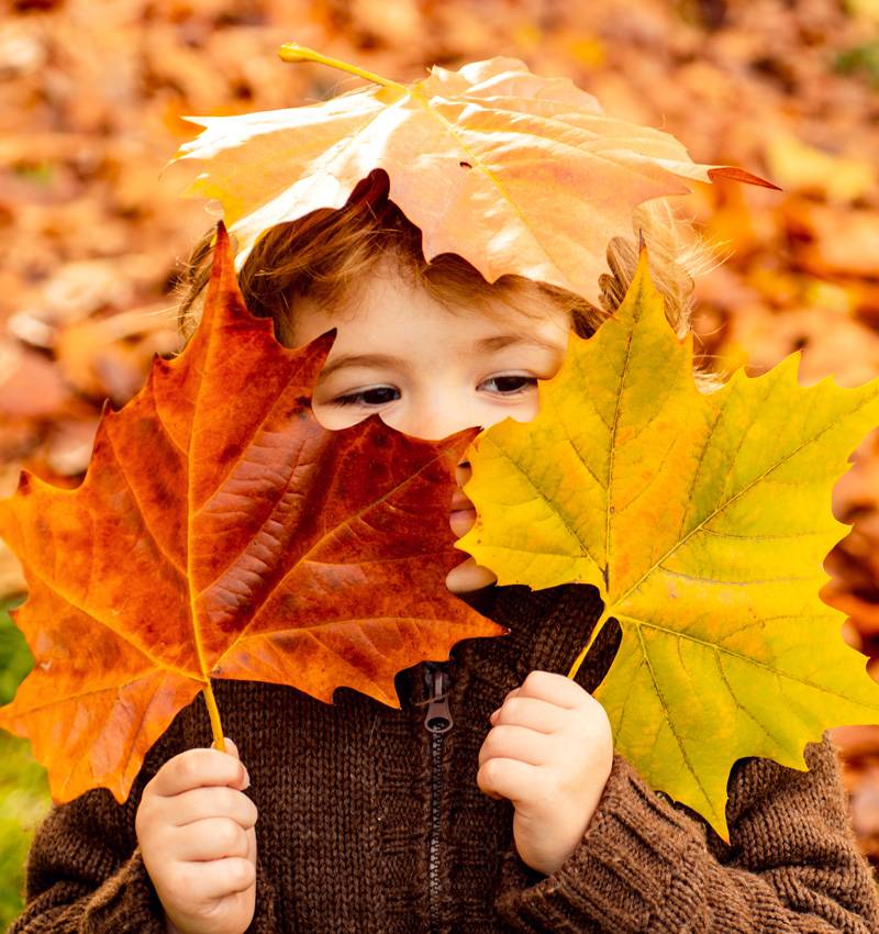 Autunno all'aria aperta