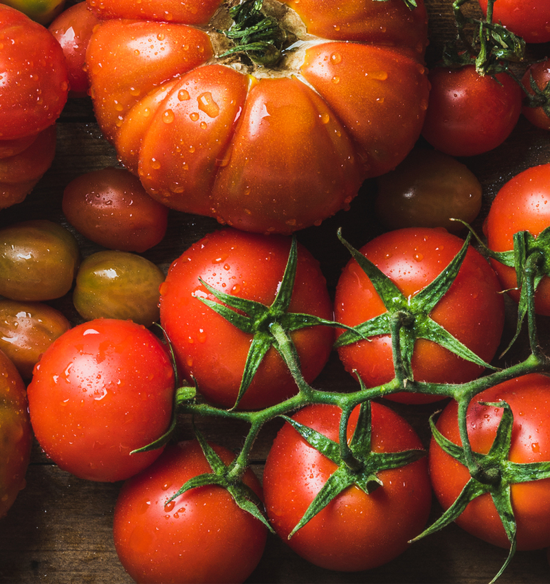 Tomato Risottos: Comfort and Creativity in Every Spoonful