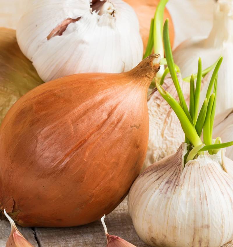 Buoni propositi d’inizio anno. Sì a cipolla e aglio.