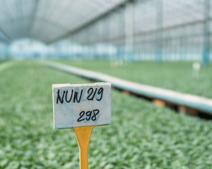 Pomì مزارعون ومهندسون زراعيون: الثنائي المثالي