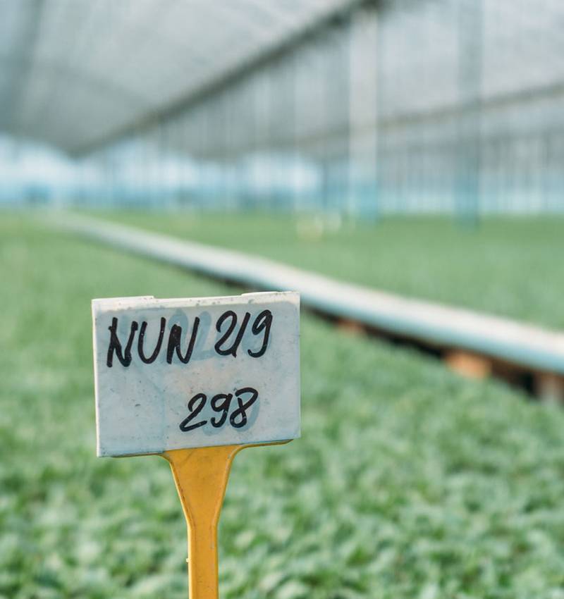 Farmers and Agronomists: a perfect duo