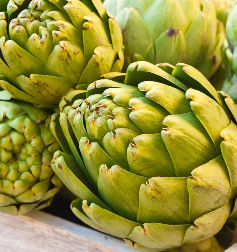 Carciofo, un ortaggio da Ode