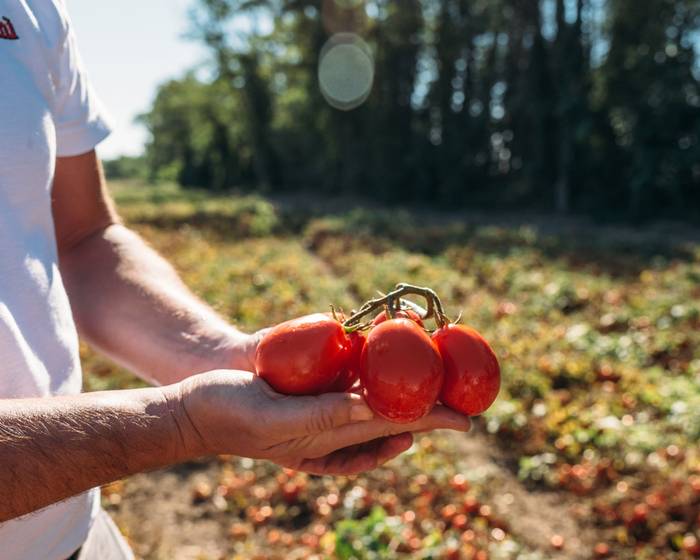 De los campos de Pomì, ¡un producto de familia!