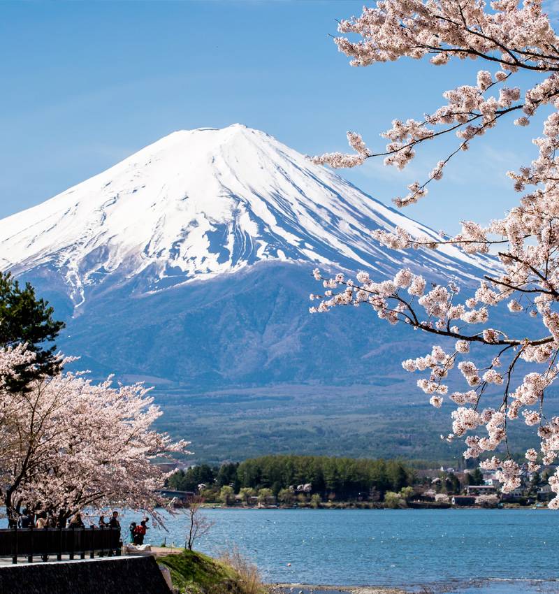 Destinazioni per viaggi da fare soli: 10 fantastiche mete per esplorare il mondo in solitaria