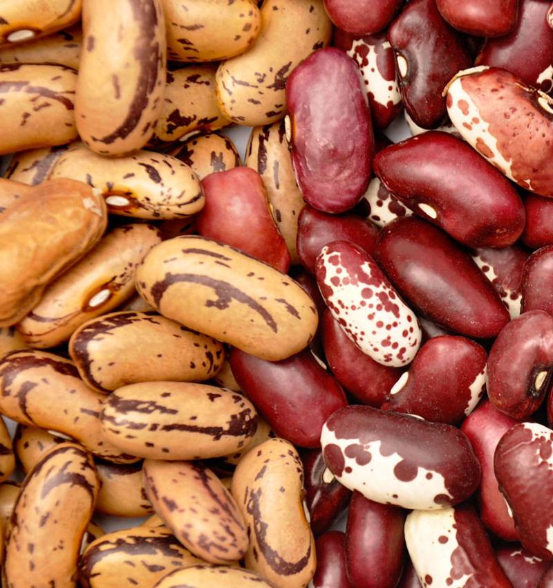 Fagioli: sfida all’ultimo legume, parte seconda