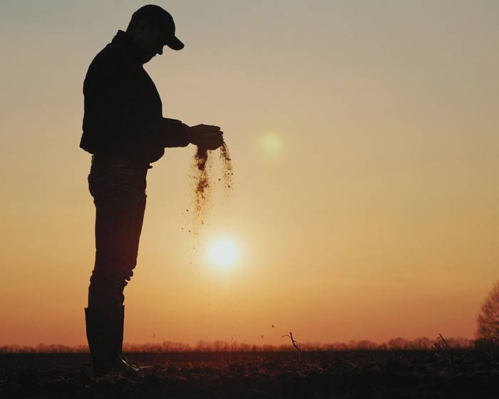Meet Our Farmers: Die Fürsorge von Pomto für all jene, die die Tomate umsorgen