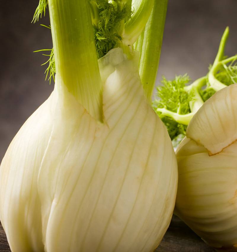 Finocchio, l’ortaggio dolce con un lato wild