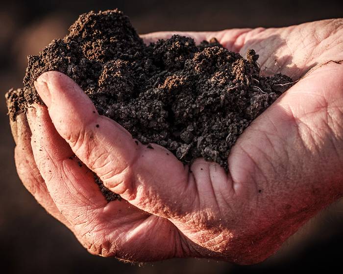 Pomito Qualität: eine tägliche Entscheidung
