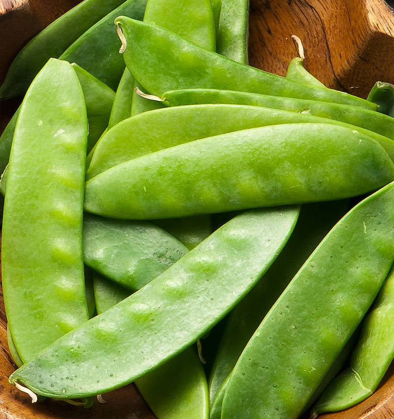 Metti in moto il metabolismo con le Taccole