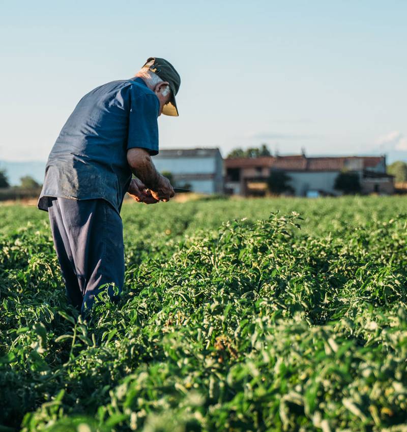 Una questione di Qualità!