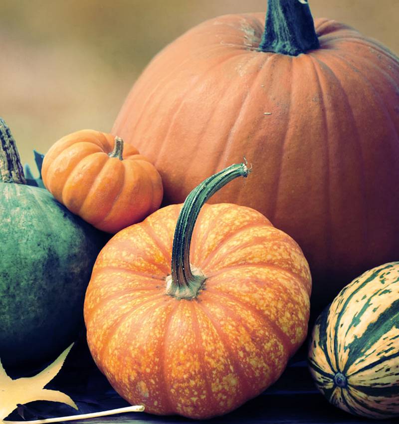 Sale in zucca per un autunno migliore