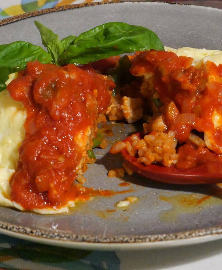 チキンとトマトソースのオムライス