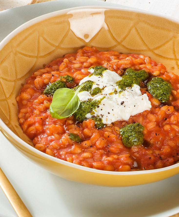 Orzotto al pomodoro con burrata e salsa al basilico