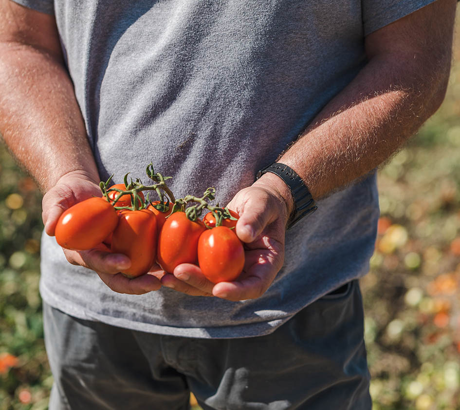 Passata di pommodoro